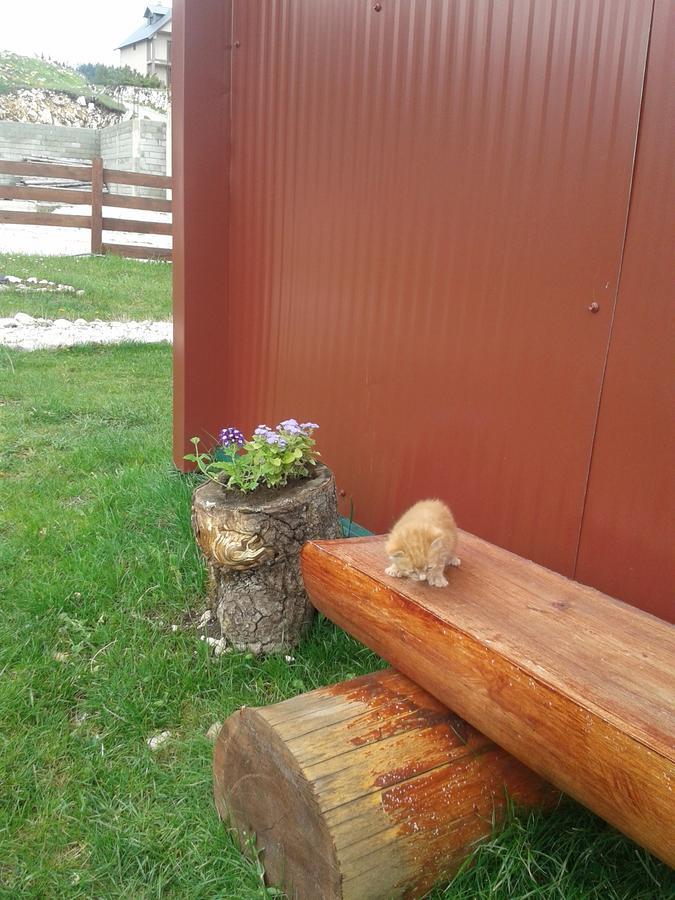 منزل الضيف جابلياك  في Boskovica Brvnare المظهر الخارجي الصورة