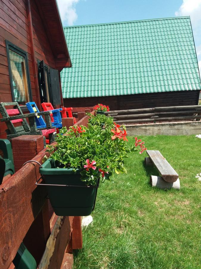 منزل الضيف جابلياك  في Boskovica Brvnare المظهر الخارجي الصورة